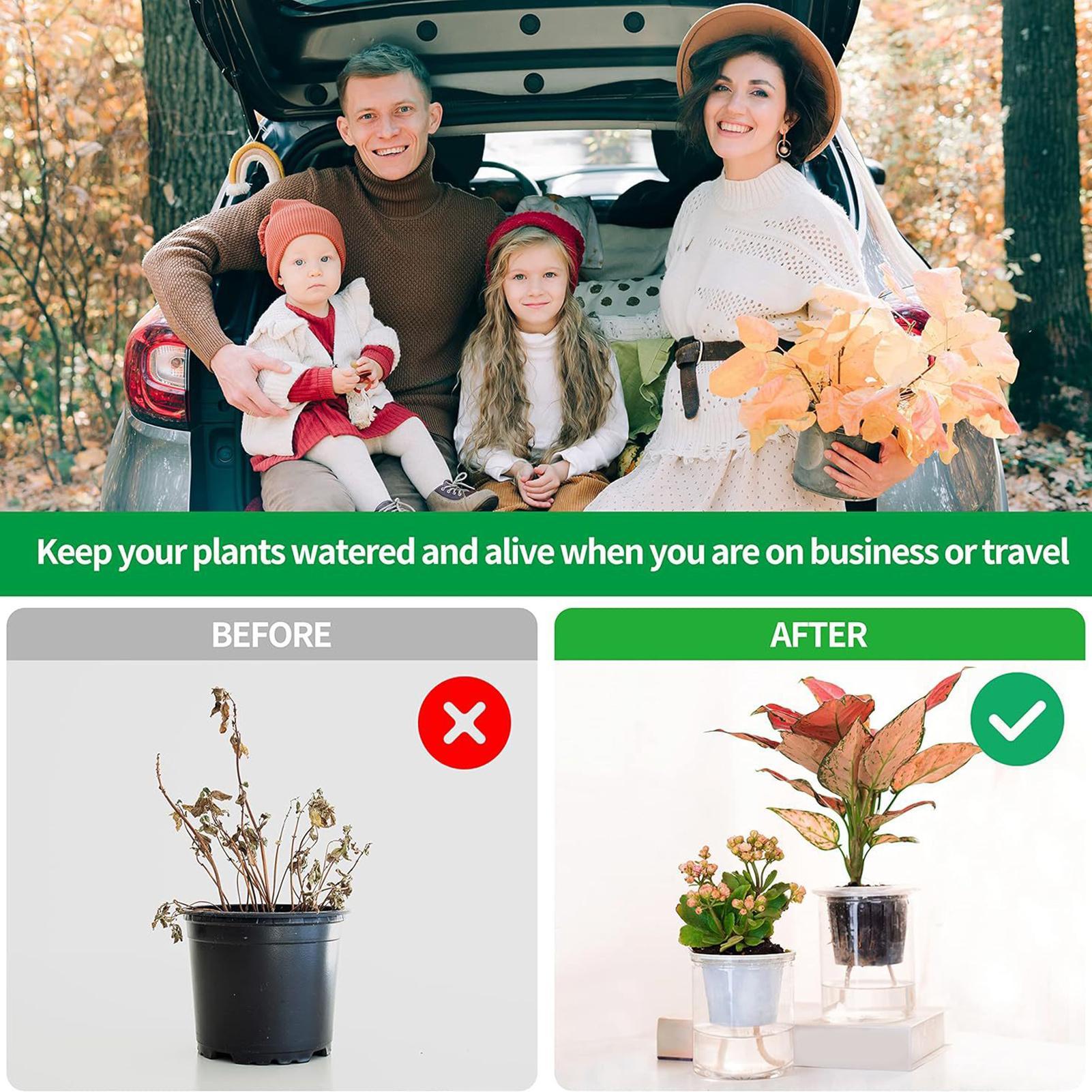 Kendi Kendine Sulamalı Bitki F - Self-Watering Planter incelemesi ve fiyatı