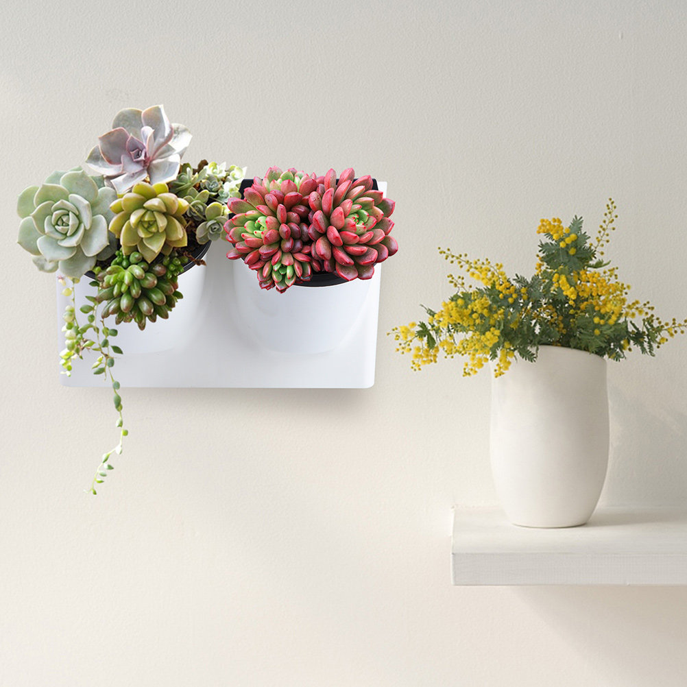 Kendi Kendine Sulanan Çiçek Sa - Self-Watering Planter incelemesi ve fiyatı