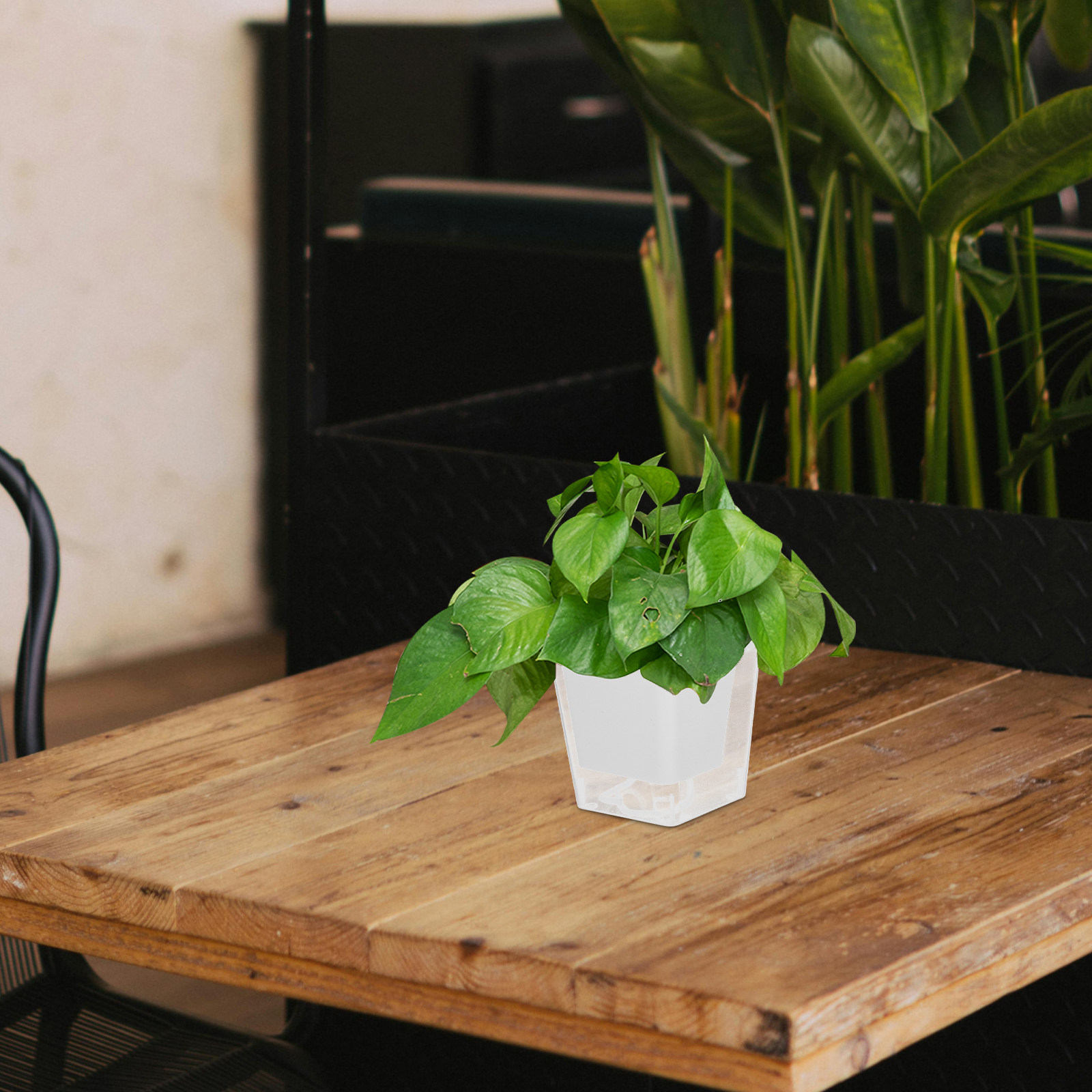 Kompakt Balkon Saksısı, Kendil - Self-Watering Planter incelemesi ve fiyatı
