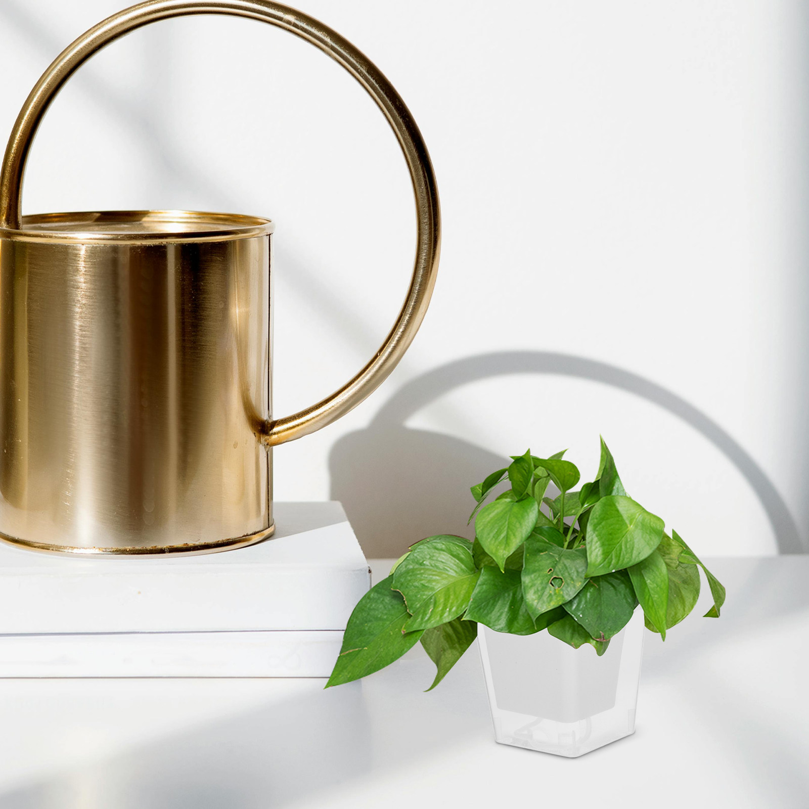 Kompakt Balkon Saksısı, Kendil - Self-Watering Planter incelemesi ve fiyatı