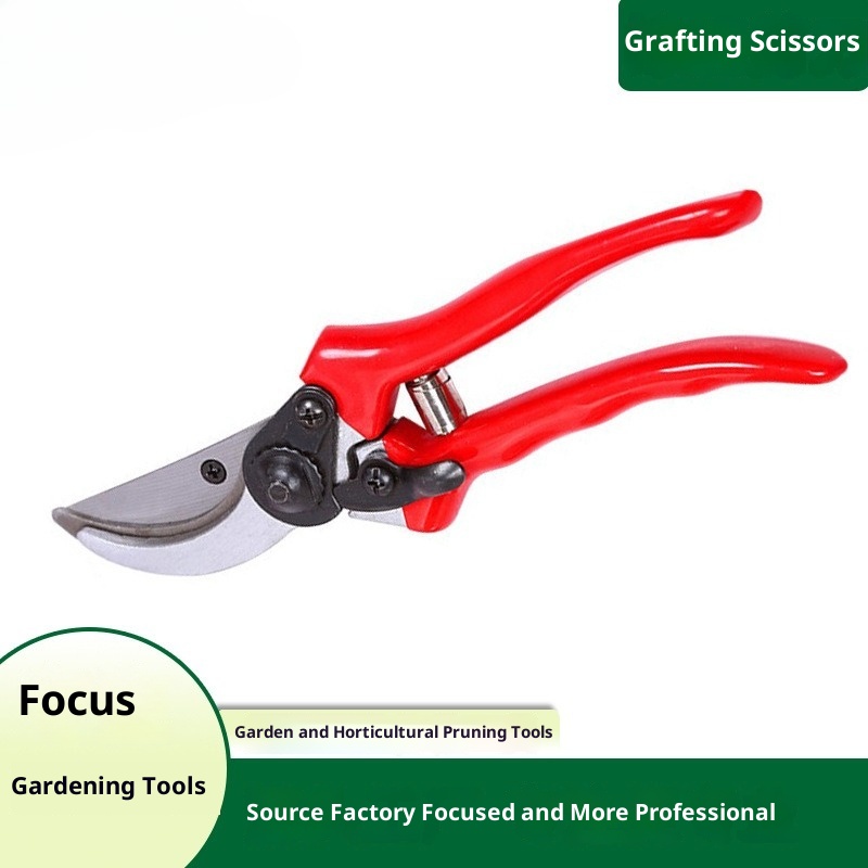 Premium Aşılama Budama Makası  - Gardening Tools Quality incelemesi ve fiyatı